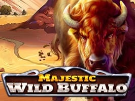 Majestic Wild Buffalo